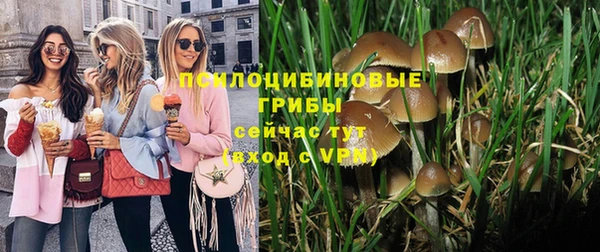 мдпв Горняк