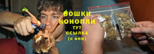 соль ск Горно-Алтайск